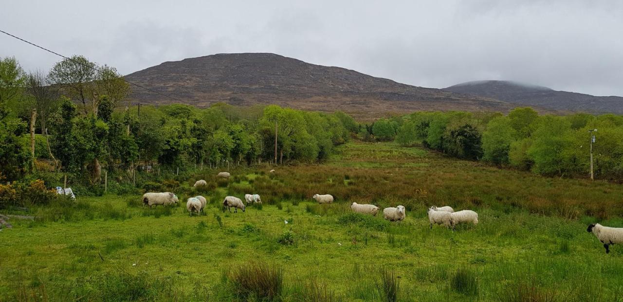Mountain View Bed & Breakfast, Kenmare, Co. Kerry, Ireland Екстериор снимка
